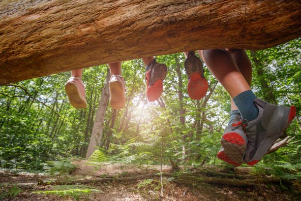 istockphoto-2177333787-612×612